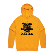 Load image into Gallery viewer, You&#39;re here because you matter - hooded sweatshirt
