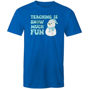 Teaching is snow much fun