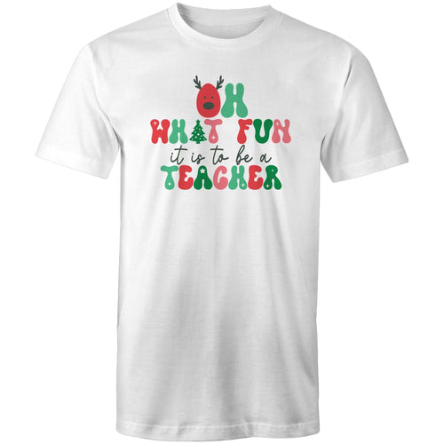 Oh what fun it is to be a teacher