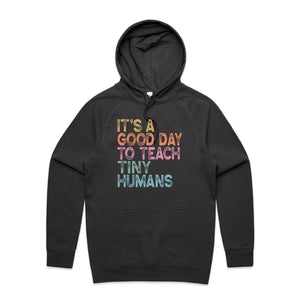 It's a good day to teach tiny humans - hooded sweatshirt