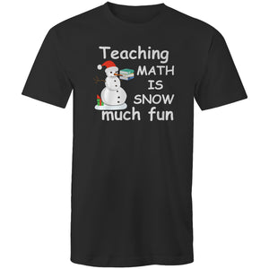 Teaching math is snow much fun