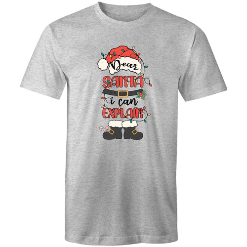 Dear Santa I can explain
