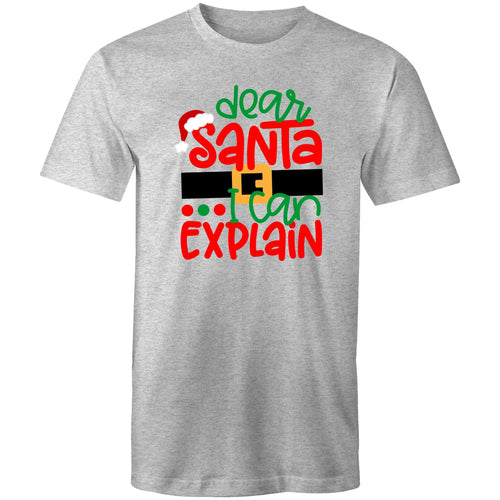 Dear Santa, I can explain