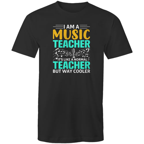 I am a music teacher, it's like a normal teacher but way cooler