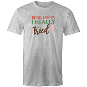 Dear Santa I really tried